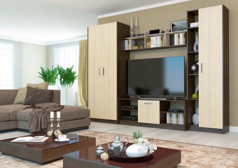 Гостиная Милан Венге/Дуб (Ш-3000 х В-2046 х Г-446 мм)
